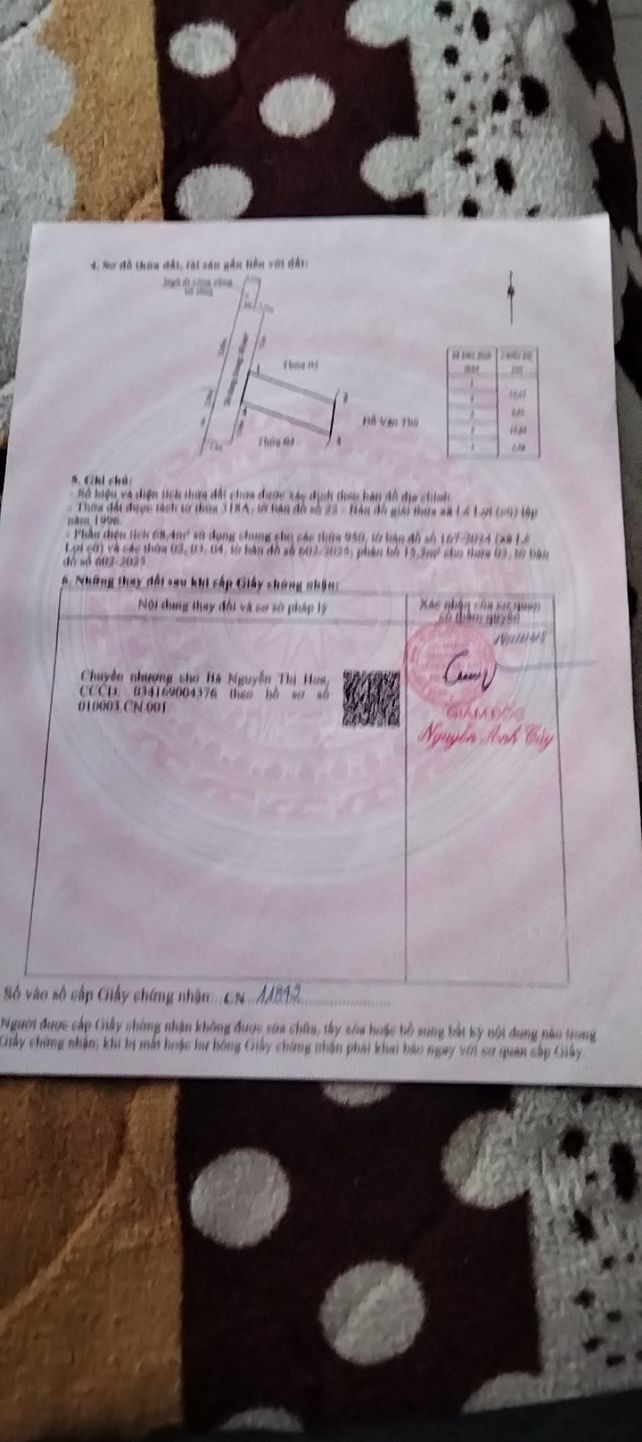 Đất nền đường Lê Lợi, Quận An Dương, 54.5m² - Cơ hội đầu tư tuyệt vời!