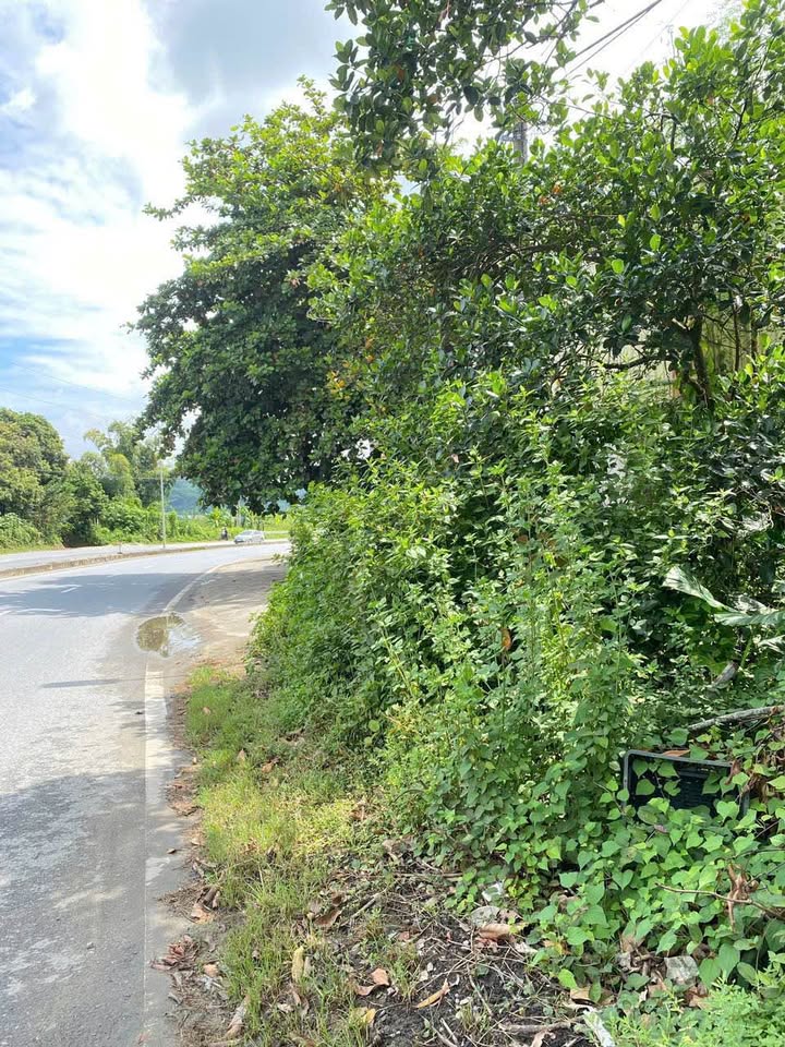 Đất thổ cư 200m² mặt đường Quốc Lộ 70, Phường Lào Cai - Kinh doanh lý tưởng chỉ 3 tỷ!