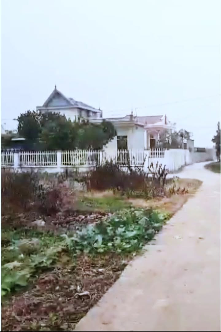 Đất nền 658m² xã Giao Hà, Giao Thủy giá 2.75 tỷ - Lô góc, ô tô vào thoải mái!