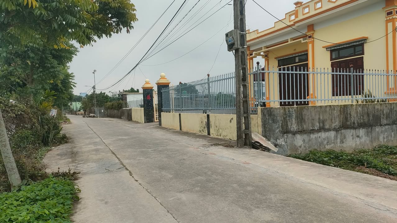 Đất nền Giao Nhân 1486m² giá 6 tỷ - Nhà đẹp lung linh sẵn sàng ở!