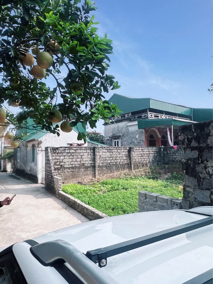 Đất nền Xã Đại Xuyên 100m² giá 2 tỷ - Khu dân cư phát triển, giao thông thuận lợi!