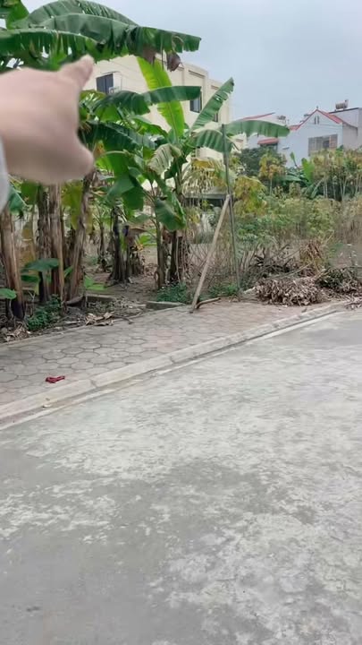 Đất nền phố Keo, Gia Lâm 81m² giá 6 tỷ - Tiềm năng đầu tư hấp dẫn!