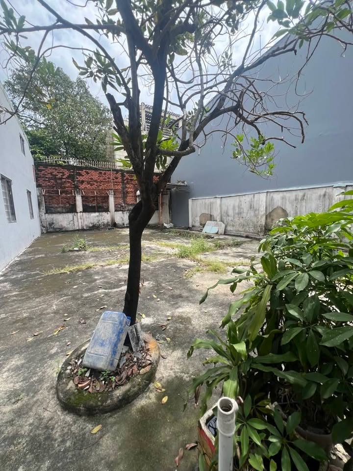 Đất trống Hiệp Phú Q9 140m² giá 16 tỷ - Hẻm ô tô thuận tiện