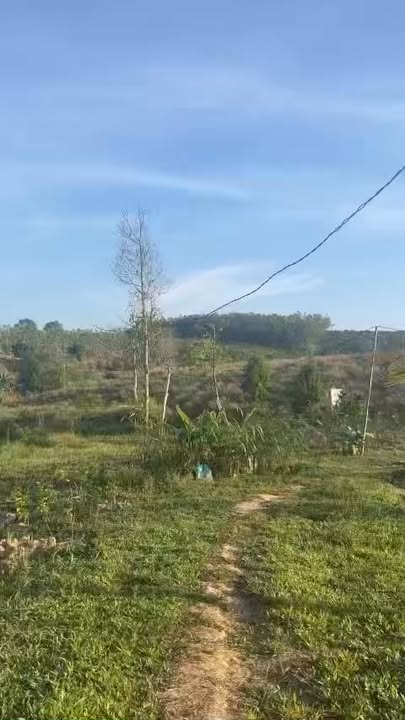 Đất Farm 1,3ha tại Xã Hà Mòn, Đắk Hà - Phục vụ cho kinh tế vườn