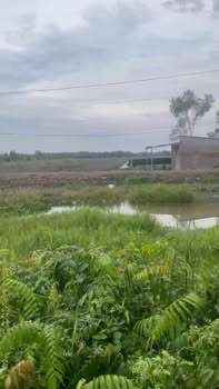 Đất nền 1540m² tại Thị trấn Mỹ Phước, Tiền Giang - Giá chỉ 4.62 tỷ!