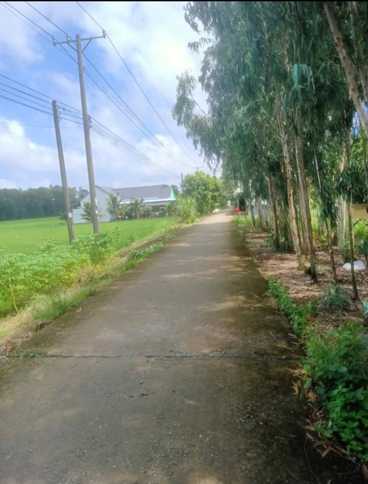 Đất ruộng 13.000m² tại xã Tân Hội, huyện Tân Hiệp - Giá chỉ 2.21 tỷ, thương lượng ngay!