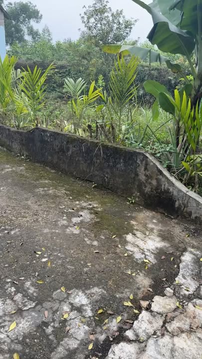 Đất thổ cư Phương Viên, Hạ Hoà 500m² giá thỏa thuận - Đầy đủ tiện nghi!