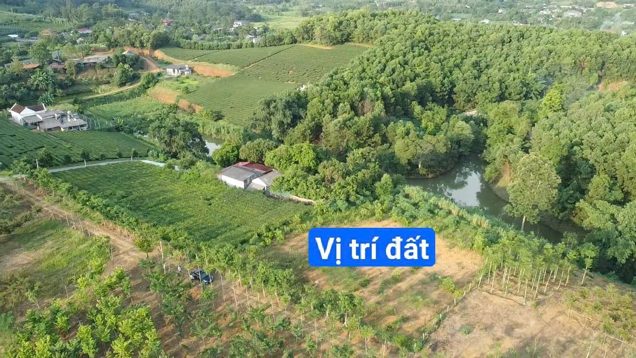 Đất nền 2800m² tại Tất Thắng, Thanh Sơn, Phú Thọ - Sổ đỏ chính chủ - Đầu tư tiềm năng!