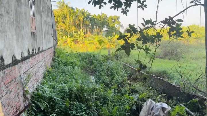 Đất thổ cư Xã Vũ Yển 125m² giá 685 triệu - Sổ hồng chính chủ, công chứng ngay!