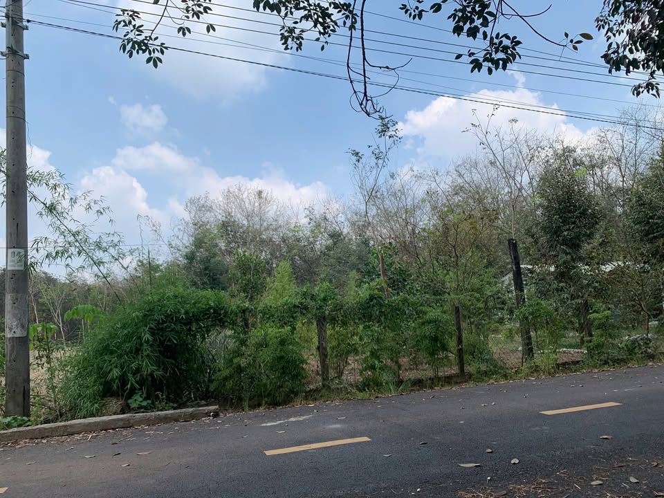 Đất vườn 500m² tại Bình Chánh, Hồ Chí Minh - Giá chỉ 750 triệu, thương lượng ngay!