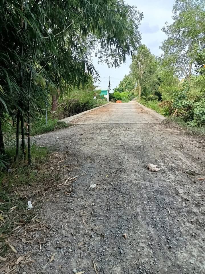 Đất nền xã Cái Ngang, huyện Tam Bình, 117m² giá 310 triệu - Vị trí thuận lợi, không thể bỏ qua!