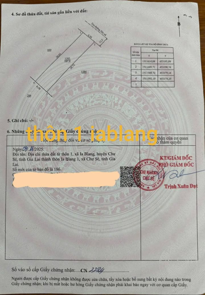 Đất mặt đường liên xã Thôn 1 Ia Blang 188m² giá 910 triệu - Tiềm năng kinh doanh hấp dẫn!