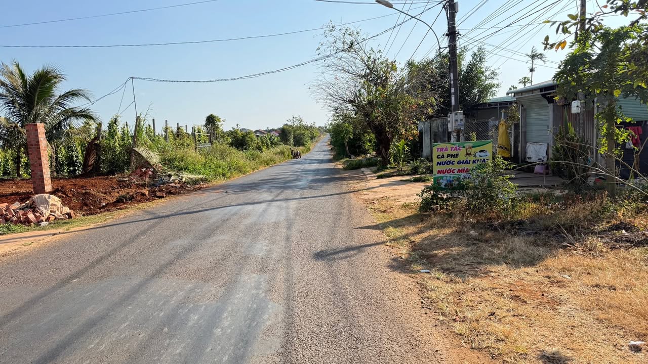 Đất nền mặt tiền đường Quang Trung, xã Ia Blang, 243m² – Cơ hội kinh doanh tốt!