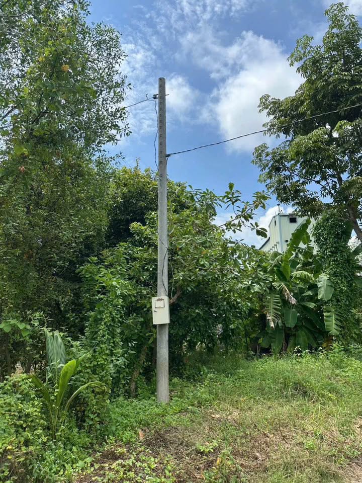 Đất lúa 510m² tại Phường Mỹ Thới, Long Xuyên - Giá chỉ 700 triệu!