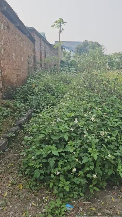 Đất thổ cư 90,9m² xã Hạ Bằng, huyện Thạch Thất - Giá chỉ 2 tỷ!