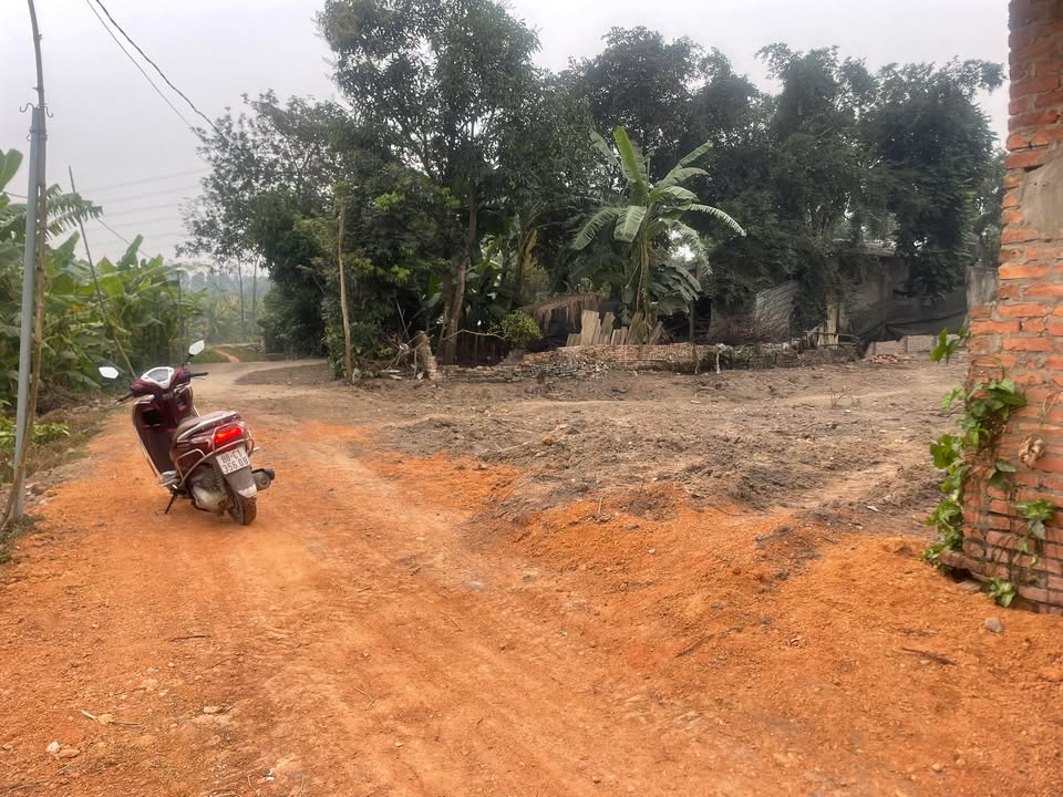 Đất nền khu đấu giá Đồng Tướng, Vĩnh Phúc 800m² giá 4 tỷ - Cơ hội đầu tư hấp dẫn!