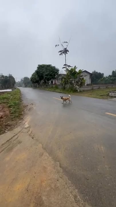 Đất nền Thượng Long, Yên Lập 212m² giá 550 triệu - Vị trí đẹp cho kinh doanh