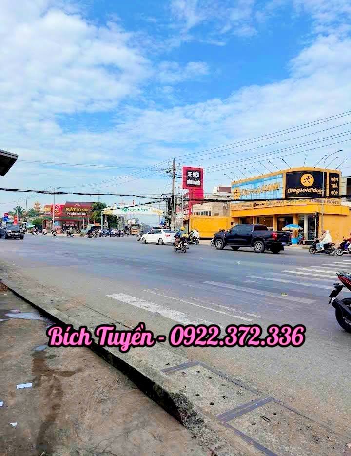 Đất nền 1000m² tại Bến Lức chỉ 800 triệu - Cơ hội đầu tư hấp dẫn!