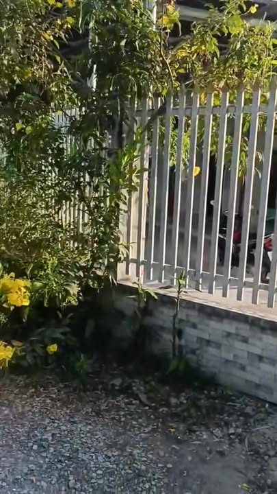 Nhà vườn tại Ấp Long Thạnh, Xã Bình An 973m² giá 2.4 tỷ - View kênh thoáng mát