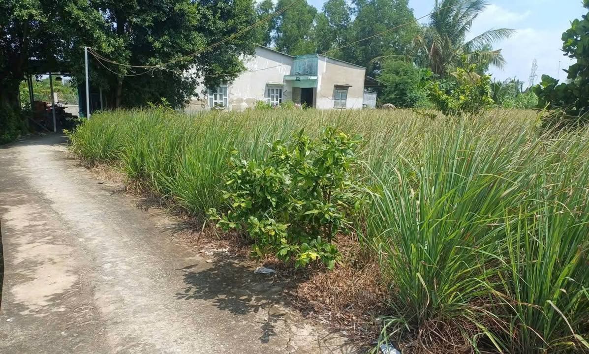 Đất lúa 863m² tại xã Long An, Cần Giuộc - Giá chỉ 1.4 tỷ - Cần bán gấp!