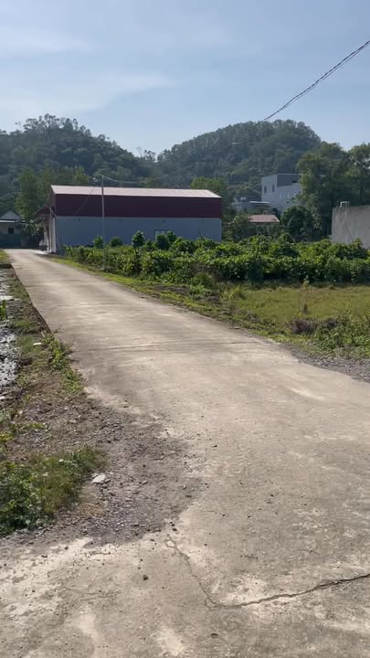 Đất thổ cư 300m² tại phường Ninh Phúc, giá đầu tư hấp dẫn