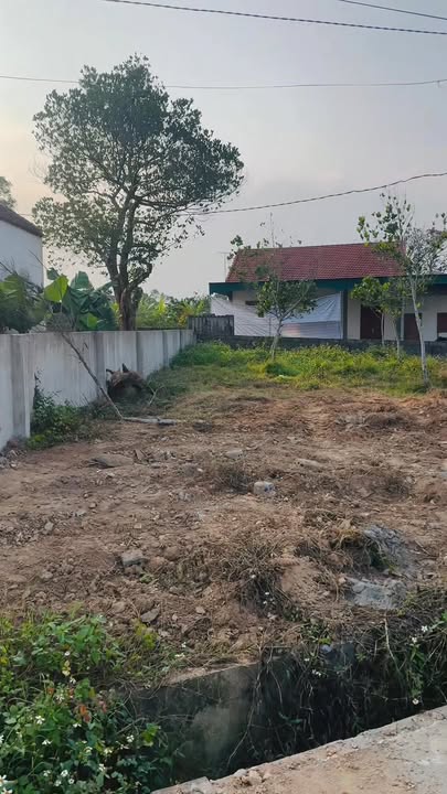 Đất nền xã Nam Thanh, huyện Nam Đàn 10,000m² giá chỉ 10 triệu/m² - Cơ hội đầu tư tuyệt vời!