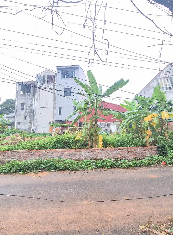 Đất thổ cư 216m² tại Núc Hạ, Hồ Sơn - Giá chỉ 2 tỷ VND - Cơ hội đầu tư tuyệt vời!