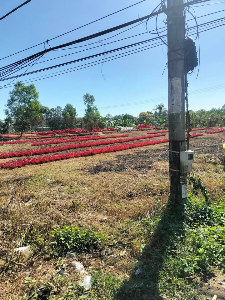 Đất mặt đường Quốc Lộ 14, Huyện Đồng Phú, 6800m² giá 4 tỷ - Cần bán gấp!