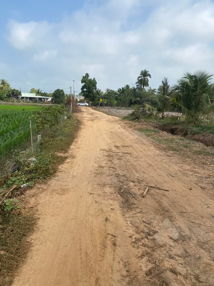 Đất nền 500m² khu phố Ba, xã Tiên Thuận, Bến Cầu - Giá chỉ 900 triệu!