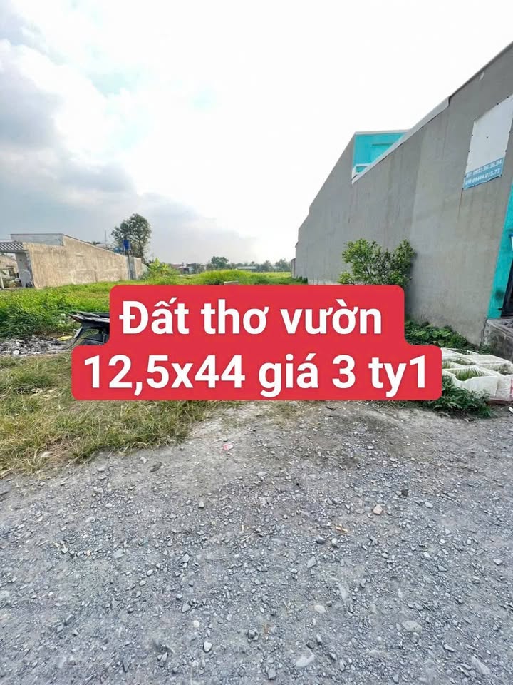 Lô đất 543m² tại Ấp Bình Tiền 1, Đức Hòa - Long An giá 3.1 tỷ - Đầu tư sinh lời hấp dẫn!