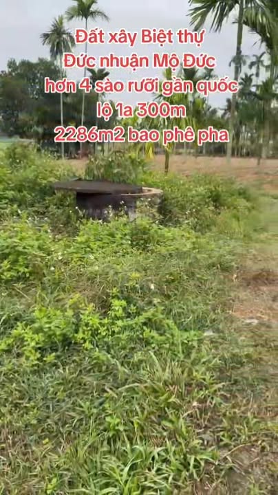 Đất xây biệt thự Đức Nhuận Mộ Đức 2286m² giá thỏa thuận - Cơ hội đầu tư hấp dẫn!