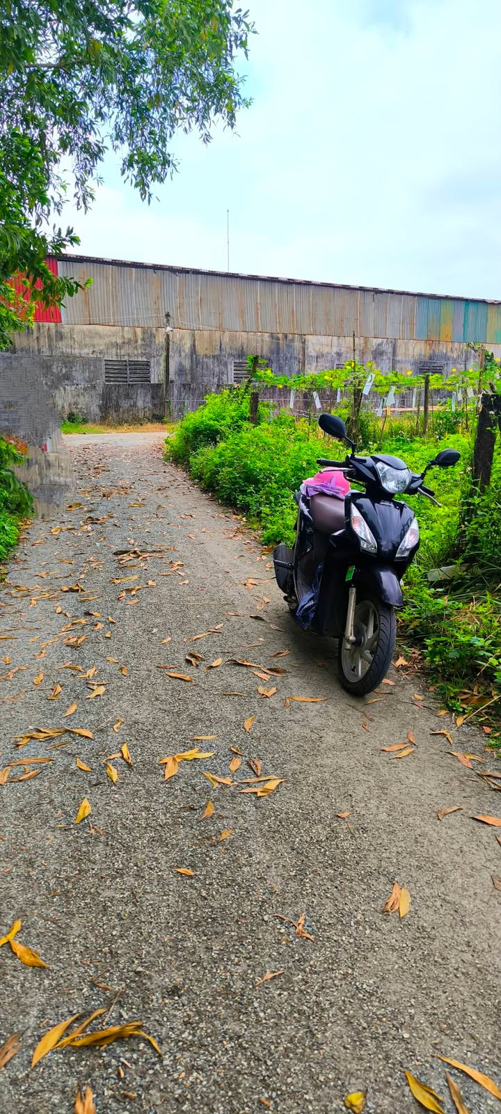 Đất nền xã Nghĩa Hòa 66m² giá 299 triệu - Cơ hội đầu tư tuyệt vời!