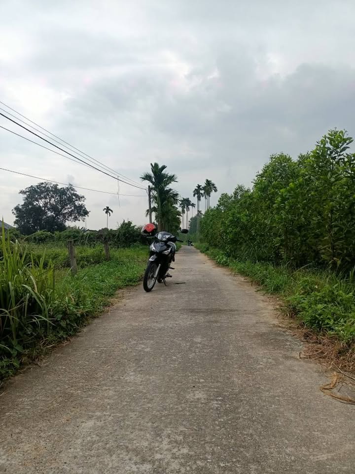 Đất nền Tịnh Phong, Sơn Tịnh 100m² giá 500 triệu - Hướng Nam tài lộc