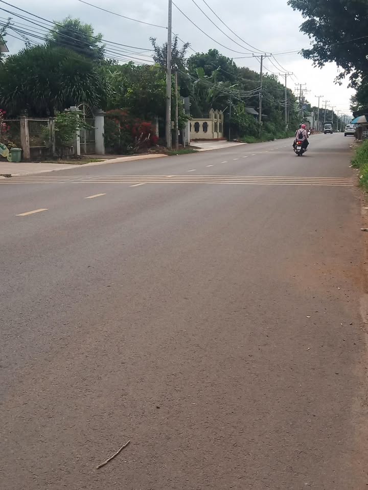 Đất mặt tiền đường nhựa Lê Hồng Phong, Long Khánh 95m² - Pháp lý sổ riêng, giá tốt!