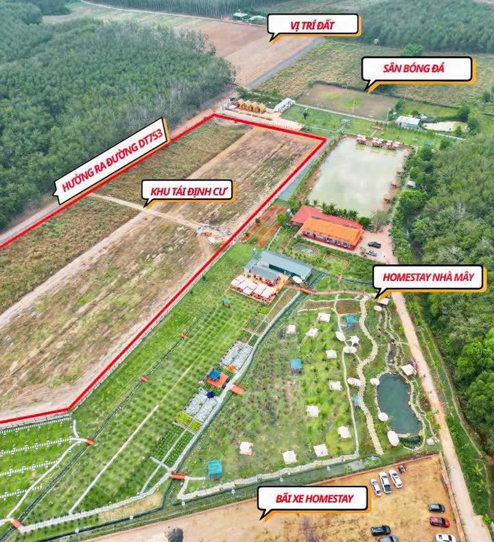 Đất nền thổ cư 168m² tại Xã Minh Lập, Bình Phước - Giá chỉ từ 410 triệu!