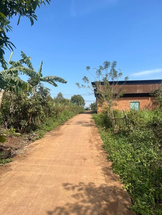 Đất nền đẹp tại Xã Ea Phê, Huyện Krông Pắc, 185m² giá chỉ 400 triệu - Cơ hội đầu tư tuyệt vời!