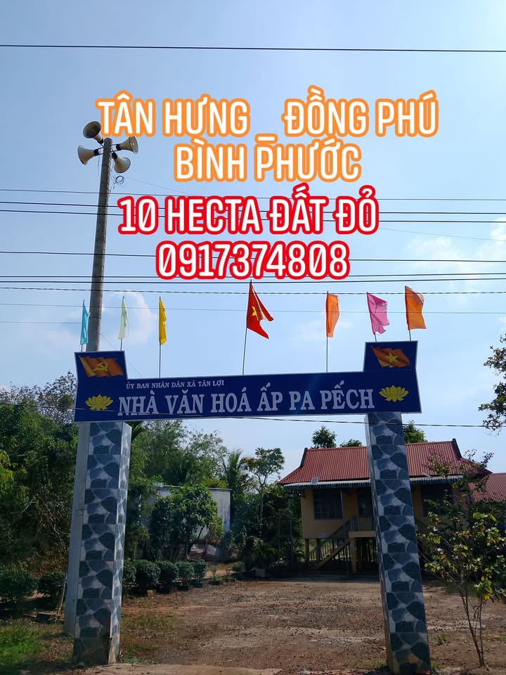 Đất nông nghiệp tại Tân Hưng, Đồng Phú, Bình Phước 10 hecta - Giá thỏa thuận!