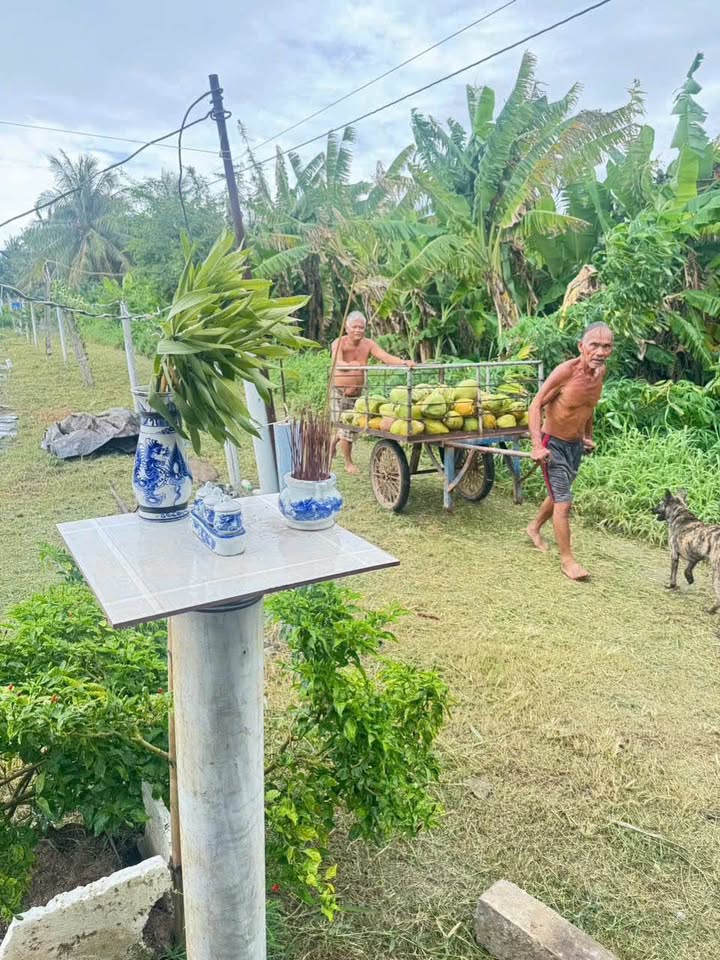 Đất nền Ấp Tân Bình, Tân Phú Đông 2776m² giá 600 triệu - Sổ hồng chính chủ!