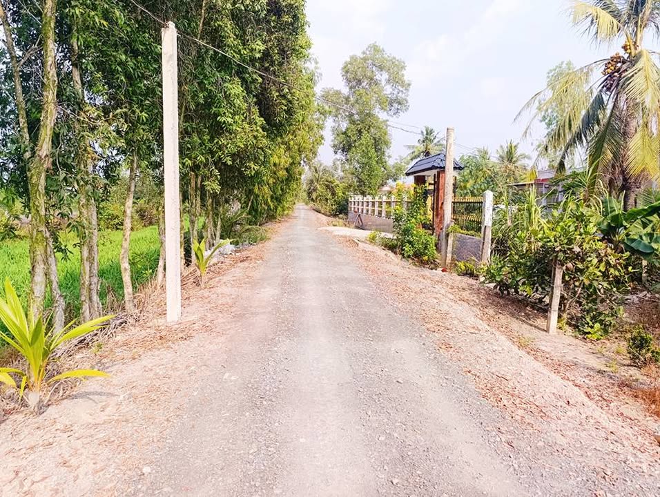 Đất vườn 500m² xã Bình Đức, Bến Lức - Giá chỉ 499 triệu, đầu tư sinh lời!