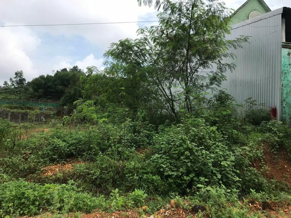 Đất mặt tiền đường Trưng Nữ Vương, TP Huế 155.8m² - Cơ hội đầu tư hấp dẫn!