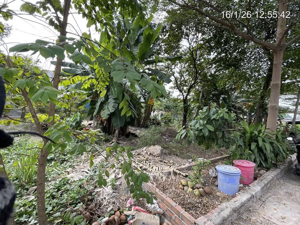 Đất thổ cư tại đường Mỹ Hòa 3, Hóc Môn 127m² giá 4 tỷ - Phù hợp xây dựng ngay!