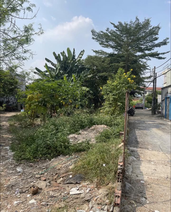 Đất thổ cư Hóc Môn 127m² giá 4-5 tỷ - Tiềm năng đầu tư lớn!