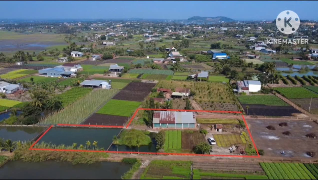 Đất Farm 1240m² tại Ea Kar, Đắk Lắk giá thỏa thuận - Sẵn sàng đầu tư!