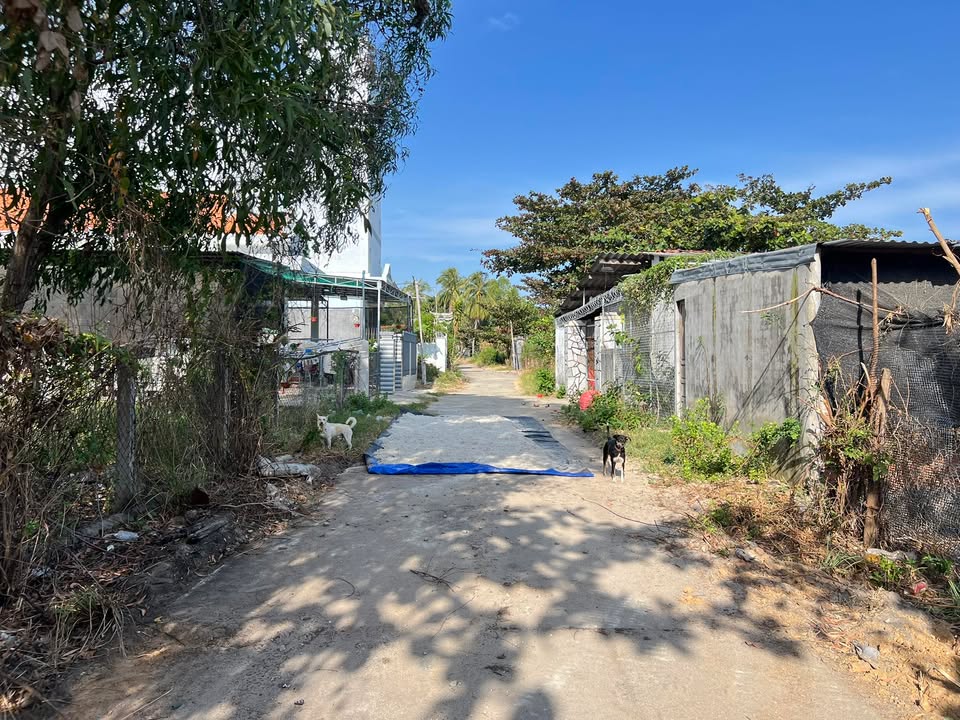 Đất nền Ninh Đông Khánh Hòa 120m² giá 900 triệu - Gần biển Tân Đức Đông