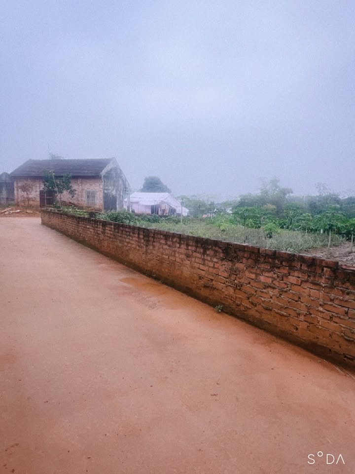 Đất nền Khu 1 Thanh Đình 140m² giá 700 triệu - Yên tĩnh, an cư lý tưởng!