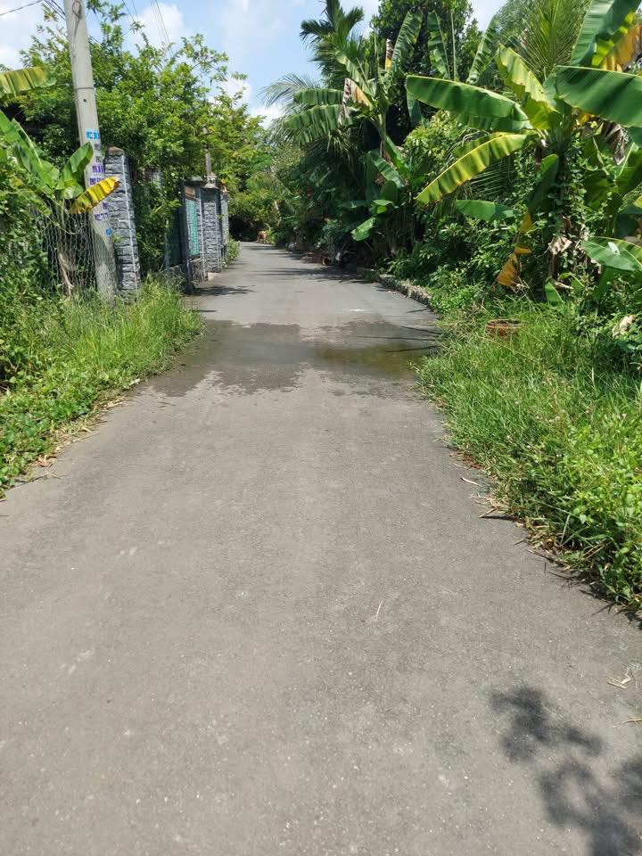 Đất FrontHouse 140m² tại Chánh Mỹ Thủ Dầu Một - Giá 1.75 tỷ, cơ hội đầu tư hiếm có!