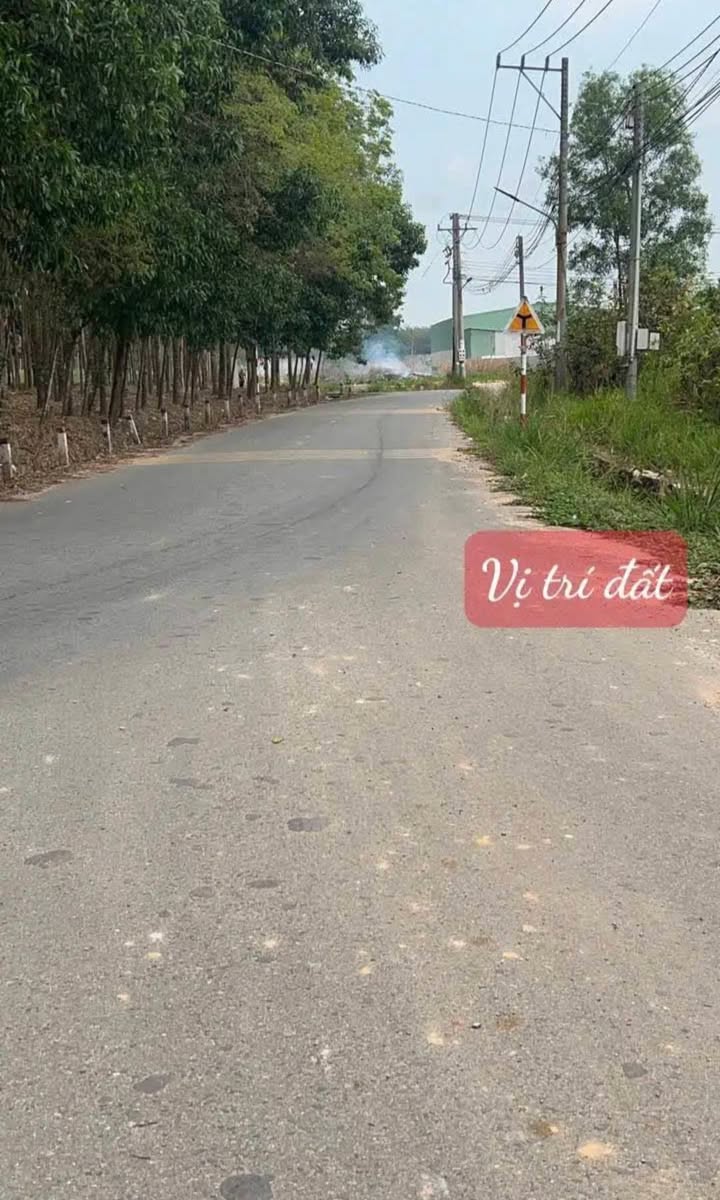 Đất nền Phường Tân Hiệp, Tân Uyên 2452m² - Đầu tư sinh lời ngay!