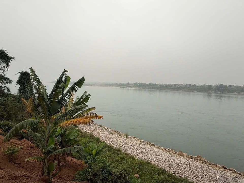 Đất ven sông Ba Vì 700m² giá thỏa thuận - Cơ hội đầu tư hấp dẫn!