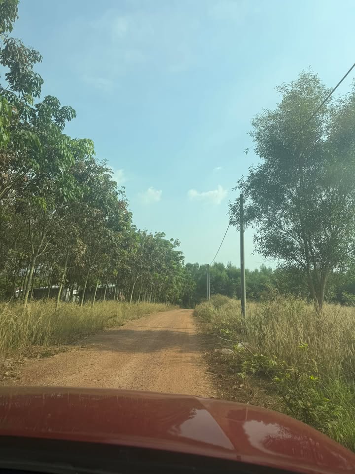 Đất An Phú Tây, Bình Chánh 30.000m² giá 40 tỷ - Cần bán gấp!