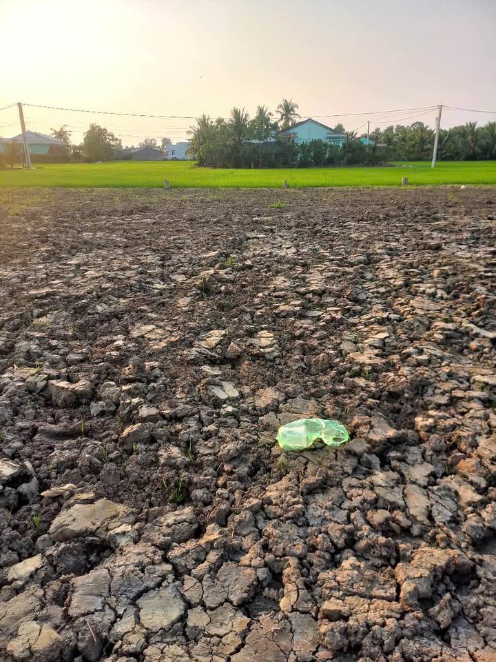 Đất nền 156m² tại Ấp Thọ Khương, Đồng Tháp chỉ 220 triệu - Sổ đỏ chính chủ!